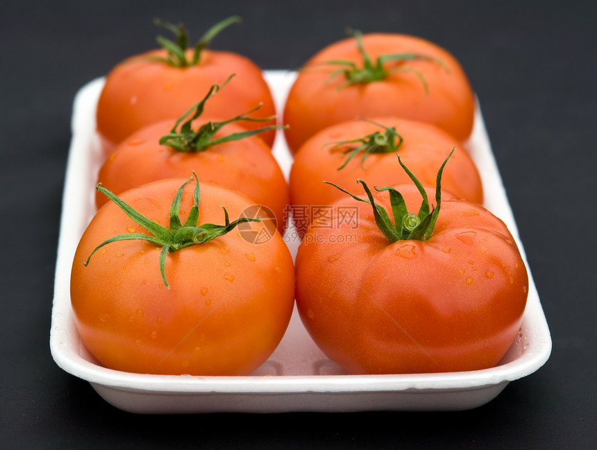红西红番茄红色季节水果活力蔬菜小吃圆圈节食营养沙拉图片