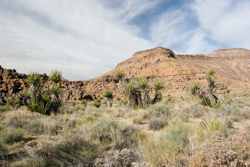 莫哈韦国家荒野孤独岩石沙漠衬套灌木丘陵部落公园图片