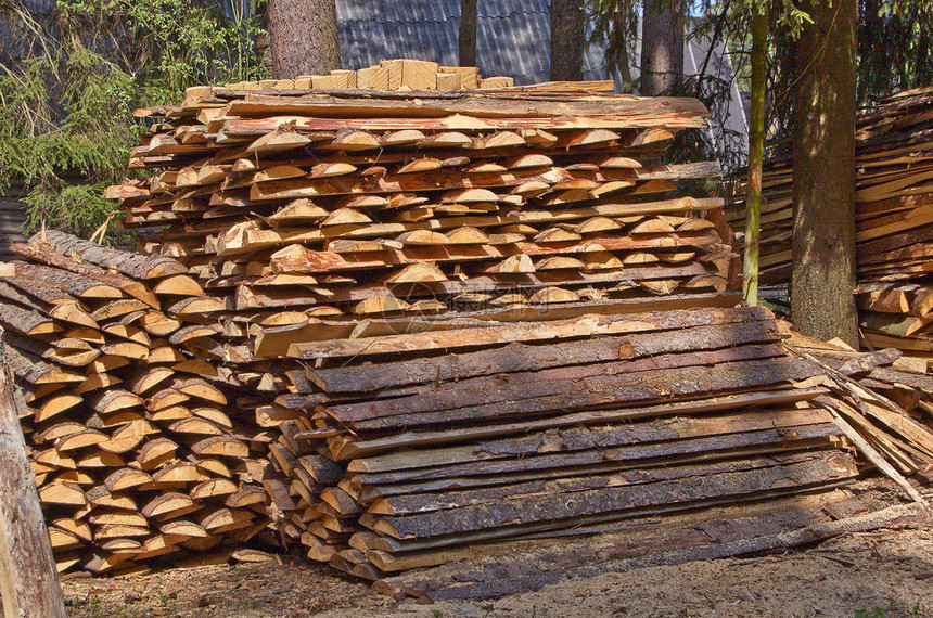 木柴堆木工人松树环境团体森林储存木材活力树木日志图片