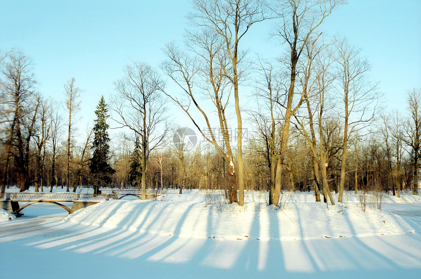 阳光短短的寒冬日图片