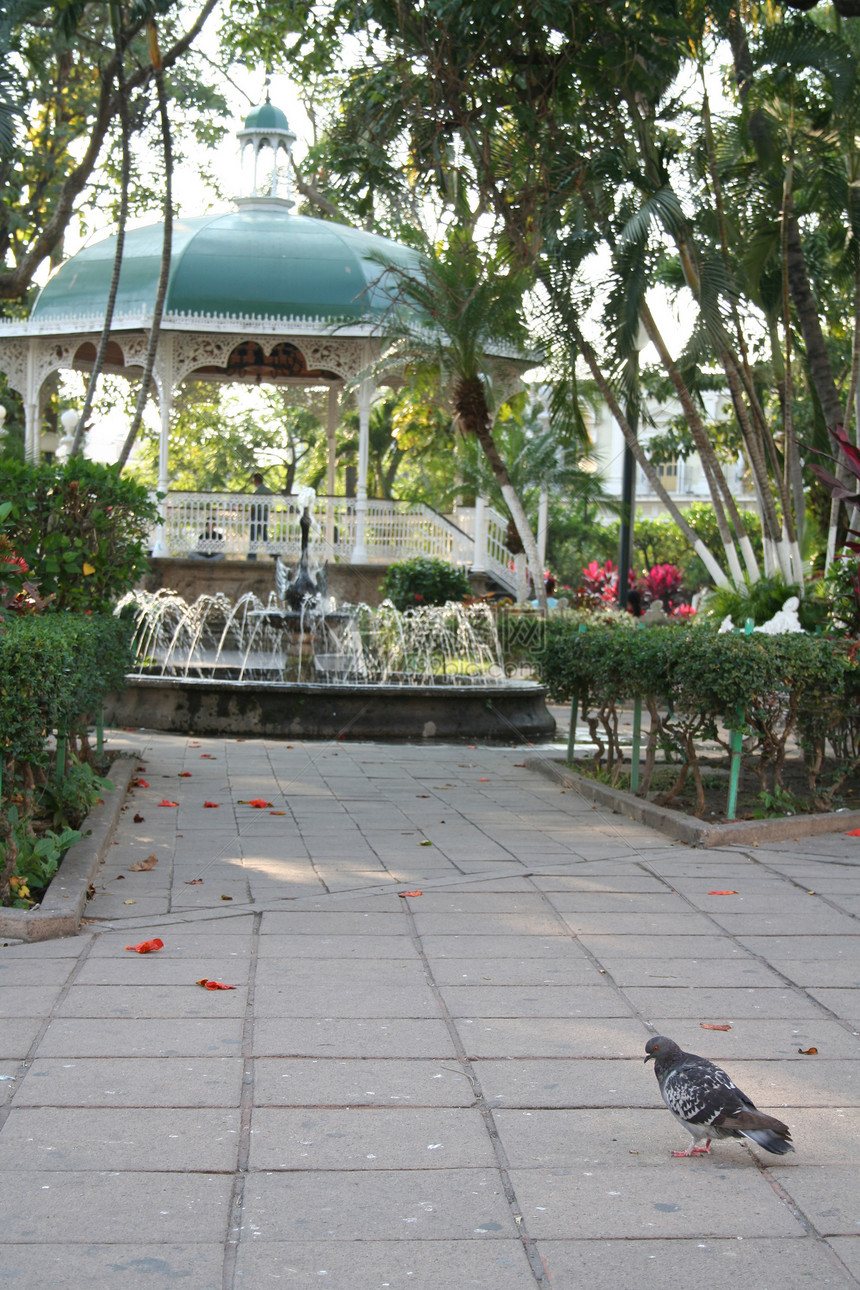鸽子公园小路社区正方形建筑绿色旅行长椅假期建筑学热带图片