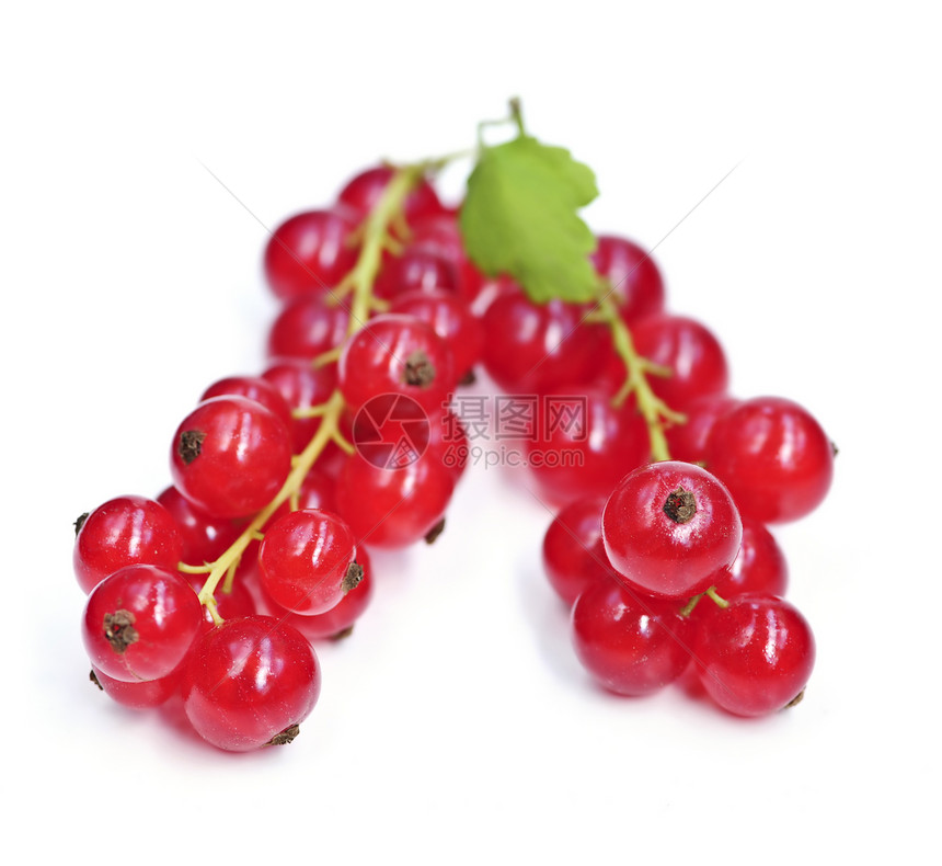 红长者红色浆果水果生产食物白色图片