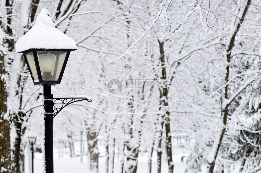冬季公园植物小路城市暴风雪途径分支机构风景降雪树木场景图片