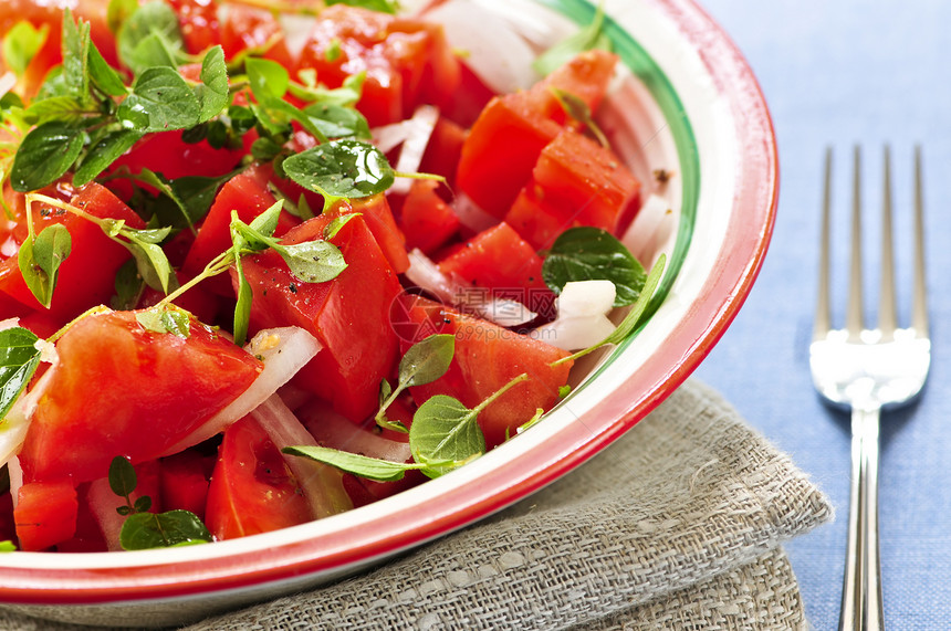 番茄沙拉蔬菜花园营养草本植物食物洋葱服务午餐生产红色图片