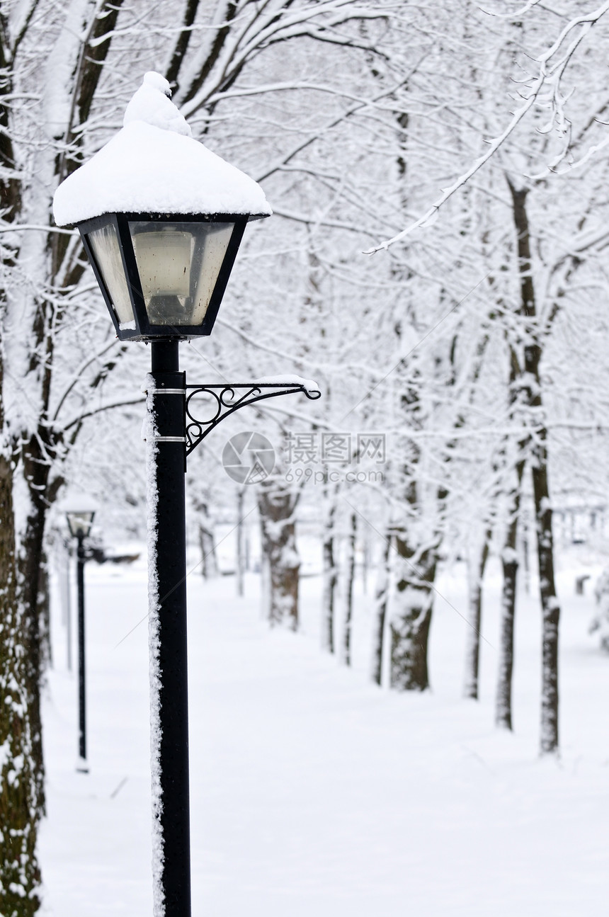 冬季公园降雪车道灯柱季节暴风雪树木场景分支机构途径城市图片