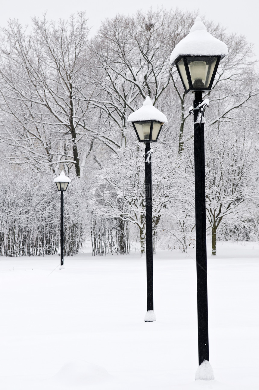 冬季公园分支机构小路树木植物风景灯柱森林场景降雪途径图片