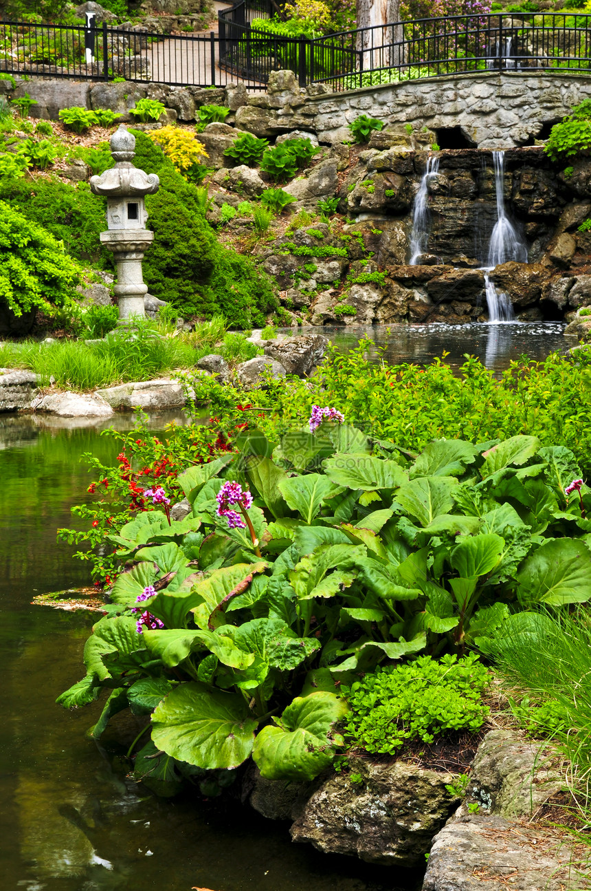 连带瀑布和池塘花朵美化反思园林绿化行人天桥花园反射公园图片