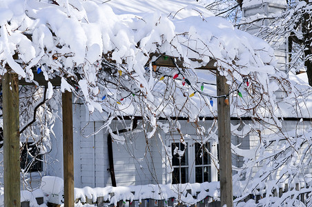 冬天的家前院阳光树木院子蓝色天空公园季节天气晴天暴风雪背景图片