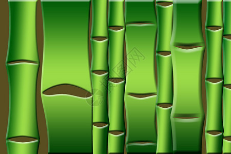 竹竹背景植物群餐厅插图绿色旅行光栅化植物棕色背景图片