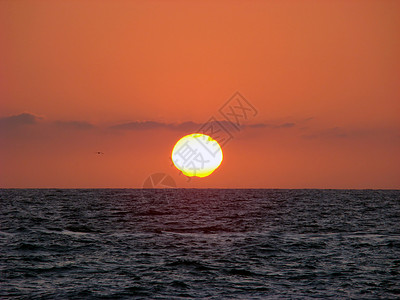 太平洋日落地平线橙子太阳海洋天空风景场景转型背景图片