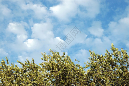 云型和蓝天空背景图片
