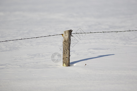 雪中静态压实电线栅栏高清图片