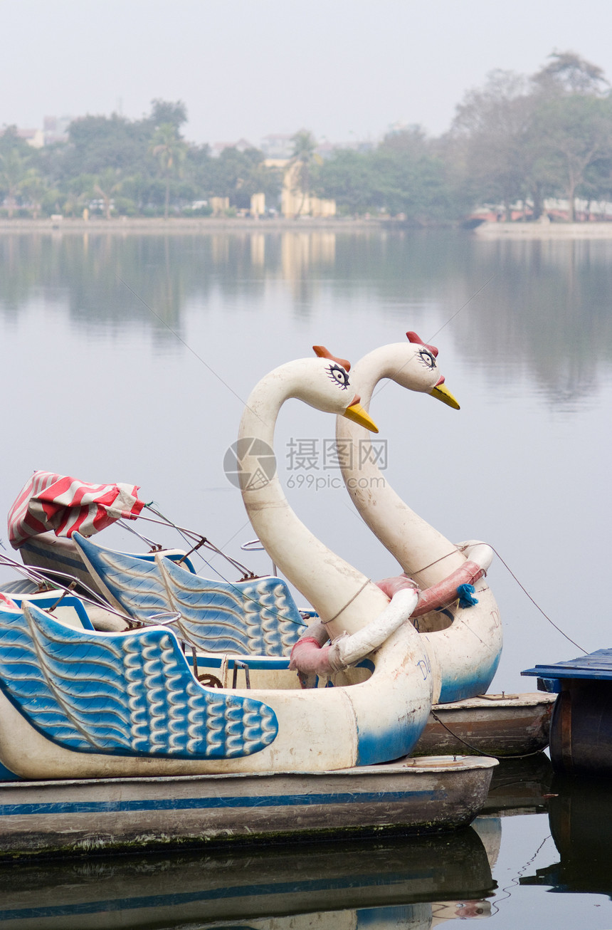 河内天鹅踏板船闲暇河湾公园旅行旅游池塘城市图片