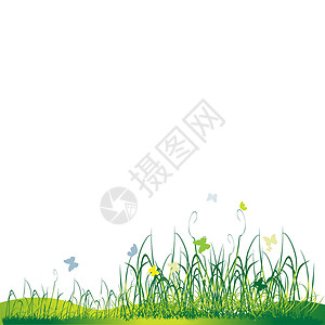 绿草 夏草 青草和蝴蝶场地插图植物草本植物生活园艺边界飞行天空美丽设计图片