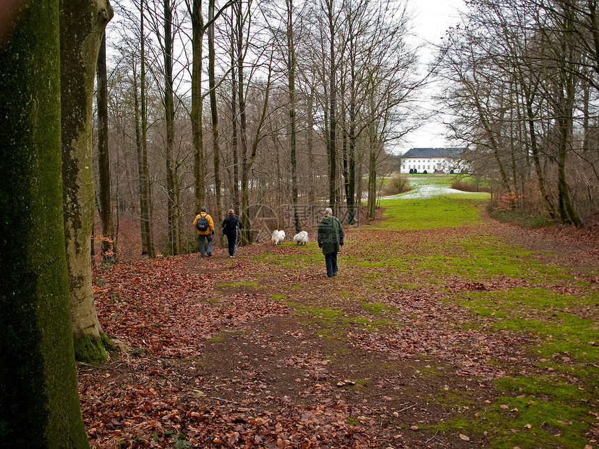三个徒步在树林里走来走去图片
