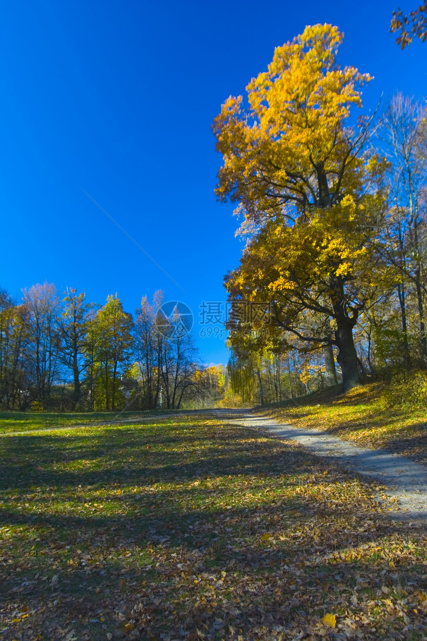 秋季旅行橙子环境季节叶子水域植物群日落反射生态图片