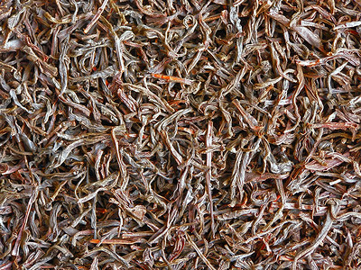 红茶背景饮料草本植物植物文化黑色草本背景图片