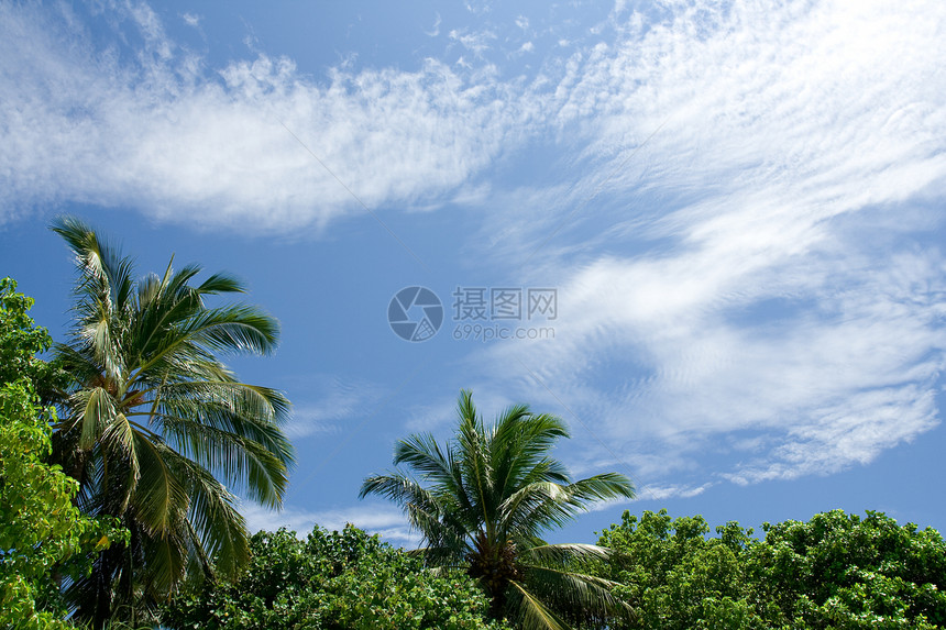 热带热带云天休息异国海景游客棕榈情绪阳光晴天旅游假期图片