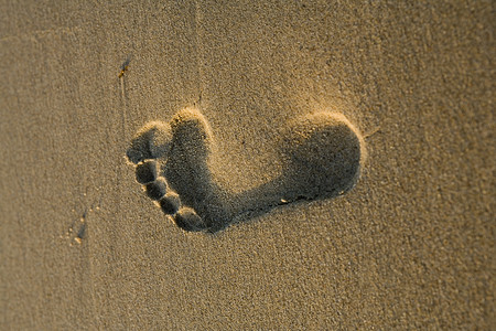 海沙 标志 纹理脚印海滩脚步背景图片