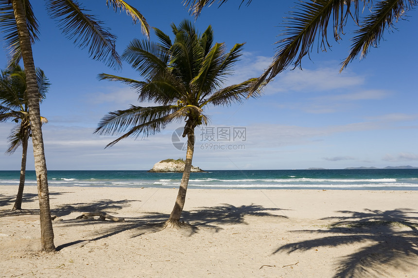 委内瑞拉玛格丽塔岛海滩椰子海洋支撑阴影天空树木蓝色热带太阳海景图片
