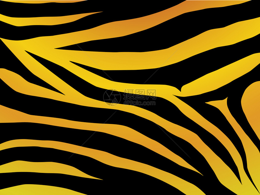 老虎设计插图条纹橙子绘画打印动物园毛皮艺术头发动物图片