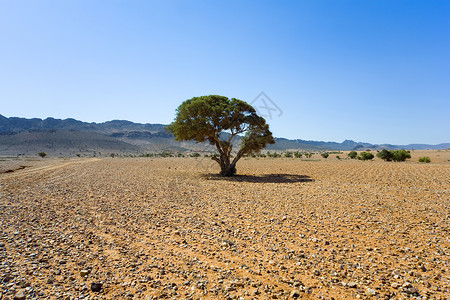 沙漠地区太阳石头黄色蓝色天空背景图片