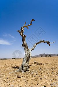 沙漠地区石头蓝色天空黄色太阳背景图片