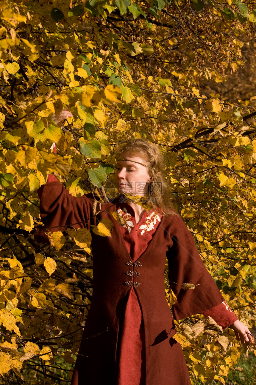 秋林中的精灵小精灵头发女士树叶故事神话仙境衣服女性角色图片