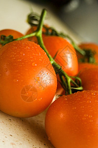 番茄食物蔬菜红色背景图片