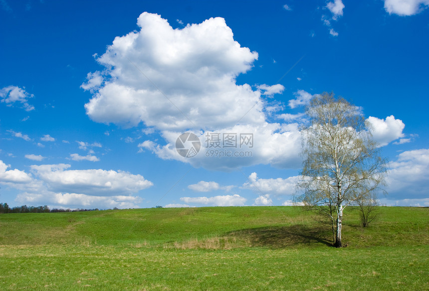 春季风景场地牧场城市天空自由地平线植物蓝色孤独环境图片