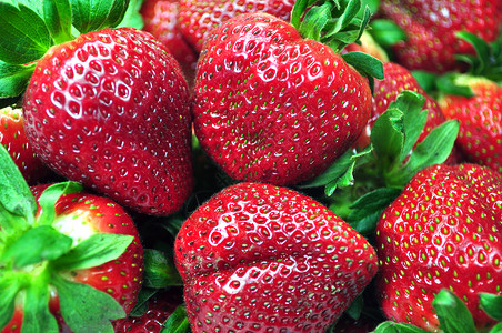 新鲜草莓绿色健康甜点水果红色浆果饮食背景图片