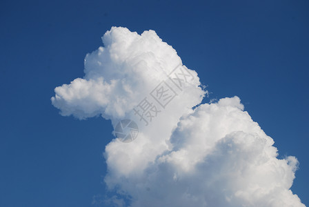 鸭云背景图片