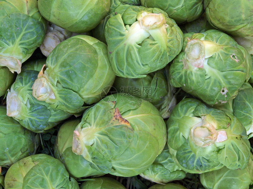 布鲁塞尔芽季节市场绿色食物青菜蔬菜季节性收成烹饪豆芽图片