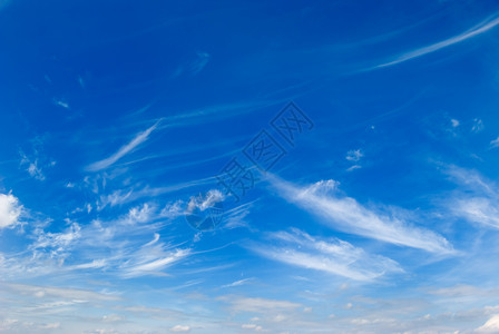 云云 5背景图片