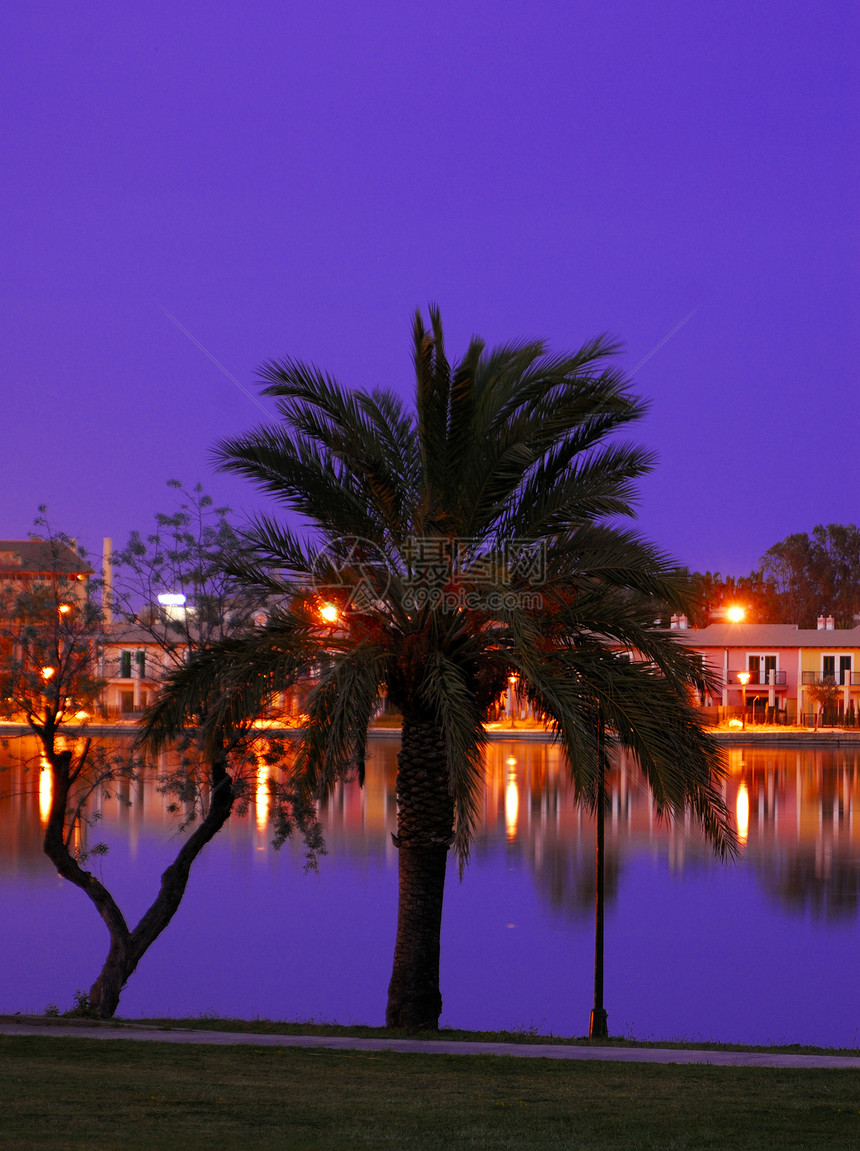 夜间现场黄色灯光酒店派对娱乐橙子池塘树木紫色假期图片