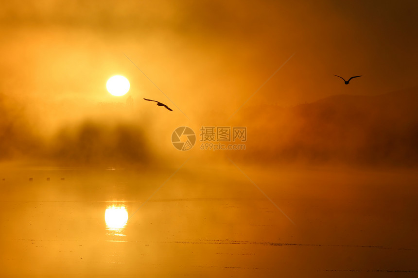 秋天清晨反射太阳树木鸟类阴影生活日落天空橙子薄雾图片
