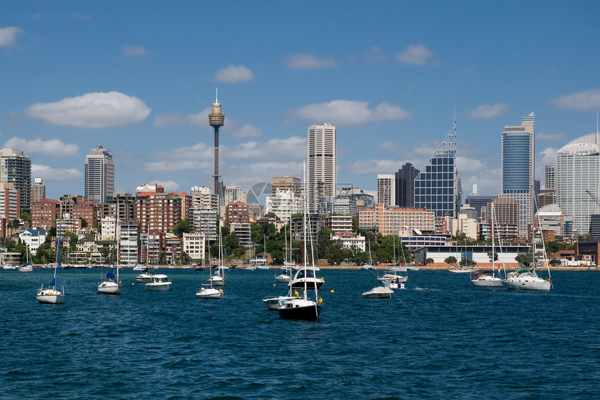 悉尼的摩天大楼运输鸟蛤码头中心窗户城市景观太阳海洋货运图片