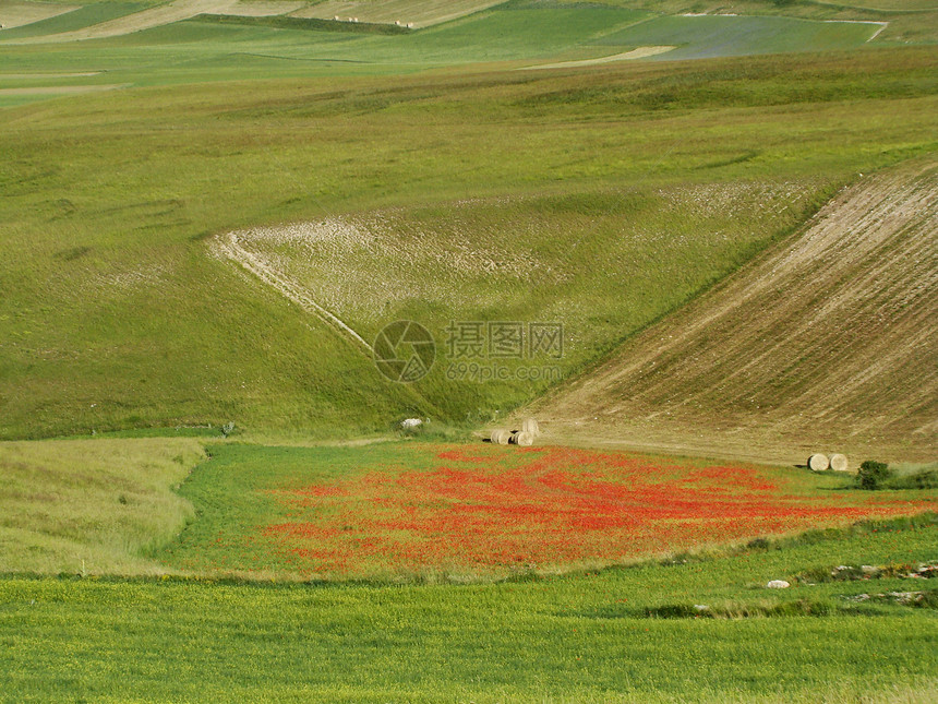 色彩多彩的字段田园牧歌草原农场乡村农村收成农田生态地面图片