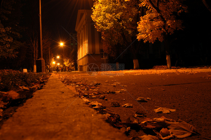 秋夜运动建筑美丽季节黄色城市街道树叶灯光公园图片