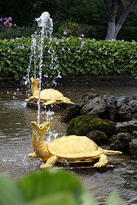 彼得霍夫海龟喷泉对称高清图片