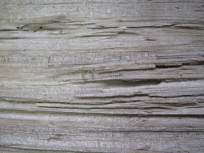 纹理质灯丝棕色粮食荒野木头灰色纤维图片