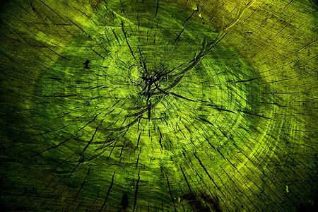 绿树设计背景图片