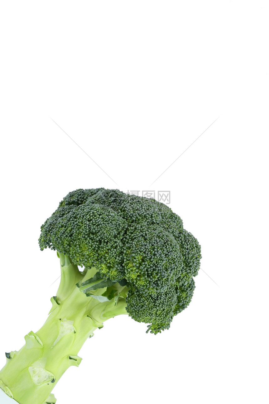 在白色宏观上孤立的新鲜绿色蔬菜 与警察关在一起营养生产饮食纤维小吃损失减肥食物烹饪杂货图片