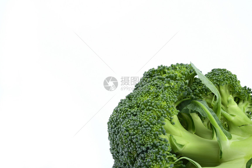 在白色宏观上孤立的新鲜绿色蔬菜 与警察关在一起烹饪杂货午餐小吃食物生产餐饮减肥采摘美食图片