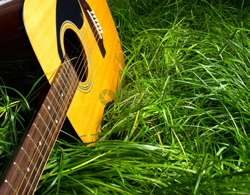 格拉斯吉他反射歌曲说谎音乐会草地唱歌乐器绿色场地声学图片