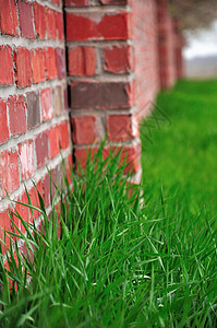 红砖墙和绿草背景图片