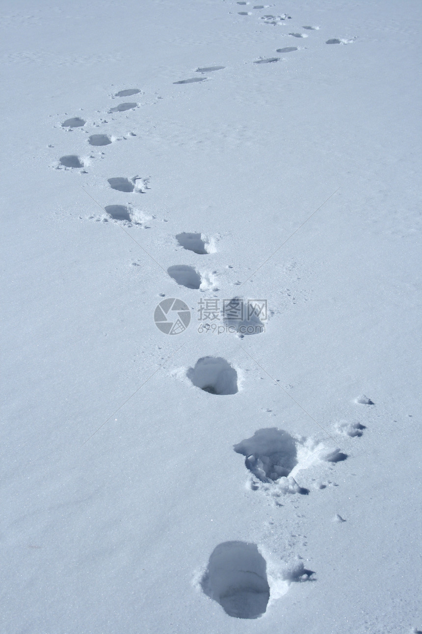 雪中脚印漫游波浪状海浪人行道踪迹白色路线脚步声小路曲线图片