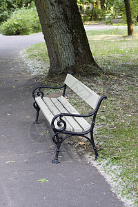 木板板家具公园花园座位木头绿色地面长椅背景图片