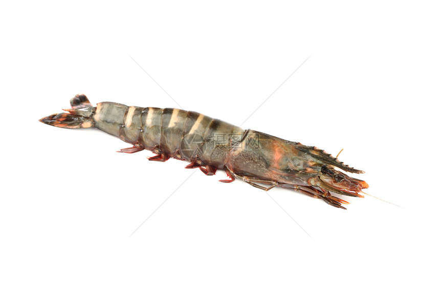 新鲜虾虾美味美食烹饪午餐海鲜小龙虾国王海洋油炸甲壳图片
