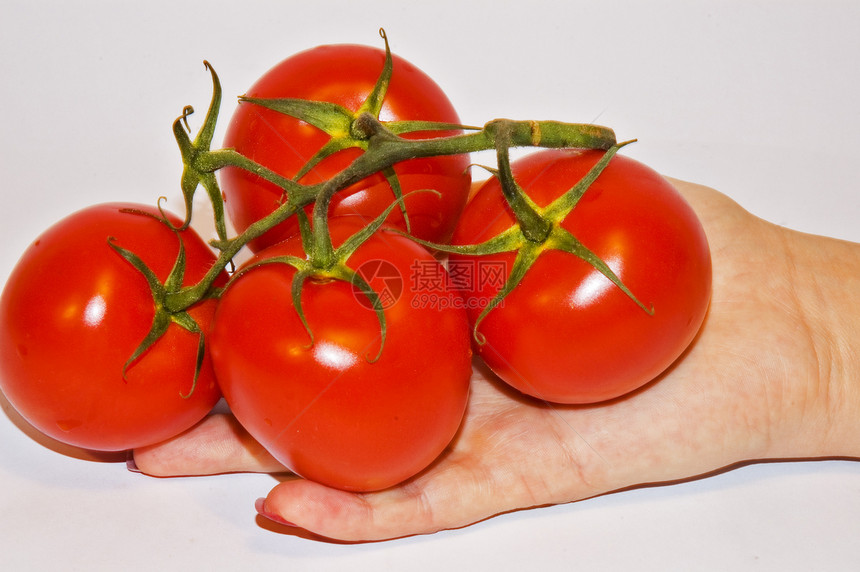 番茄水果健康白色蔬菜西红柿图片